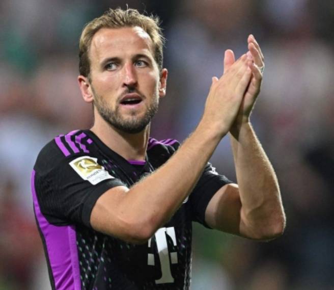 动作稳定 动作稳定